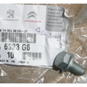 Boulon de poulie OE 6923G6