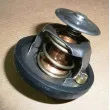 Thermostat d'eau OE 1338F5 - Visuel 2