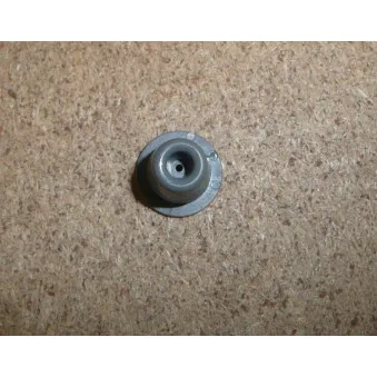 Clip, enjoliveur OE 6979C6