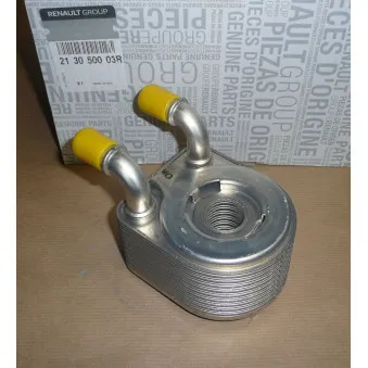 Radiateur d'huile OE 213050003R