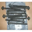 Jeu de boulons de culasse de cylindre OE 110560195R - Visuel 1