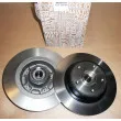 Jeu de 2 disques de frein arrière OE 7701208850 - Visuel 1