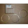 Jeu de segments de pistons OE 120338667R - Visuel 1