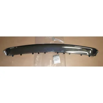 Baguette et bande protectrice, grille de radiateur OE 623850001R