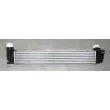 Intercooler, échangeur OE 144968116R - Visuel 2