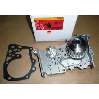 Pompe à eau MOTRIO 8671019641