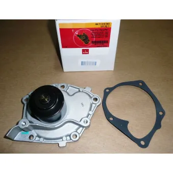 Pompe à eau MOTRIO 8671019585