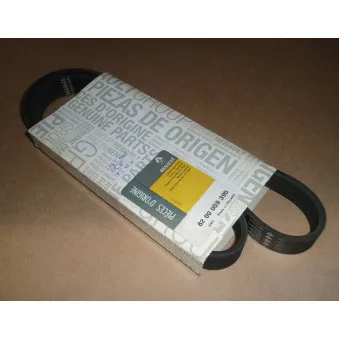 Courroie trapézoïdale à nervures OE 8200059395