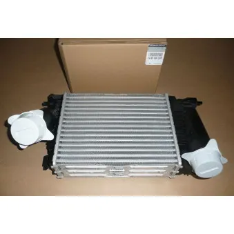 Intercooler, échangeur OE 144969690R
