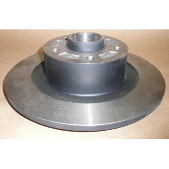 Jeu de 2 disques de frein arrière OE 402026061R