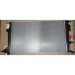 Radiateur, refroidissement du moteur OE 214100016R - Visuel 1