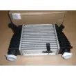 Intercooler, échangeur OE 8200471888 - Visuel 1