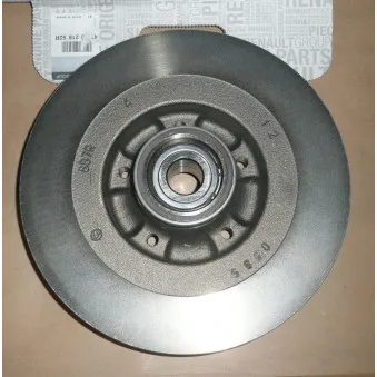 Jeu de 2 disques de frein arrière OE 432021892R