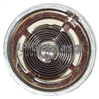 Commande de papillon d'étranglement primaire, carburateur JP GROUP 8115150400