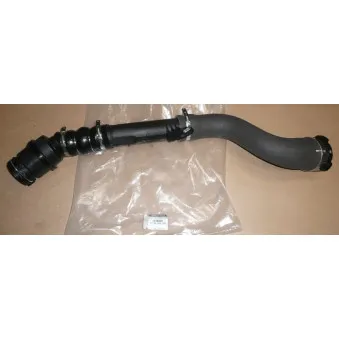 Gaine de suralimentation OE 144606515R