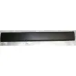 Baguette et bande protectrice, panneau latérale OE 828200148R - Visuel 1