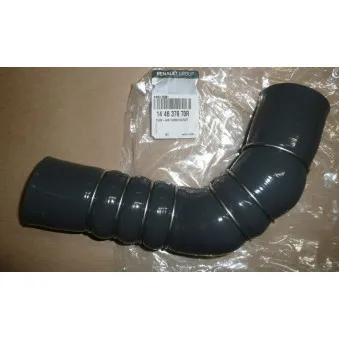 Durite de radiateur OE 144637670R