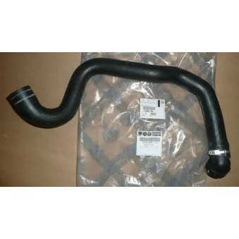 Durite de radiateur OE 135235