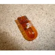 Ampoule, feu clignotant OE 6216C1 - Visuel 2