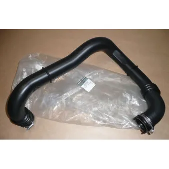 Gaine de suralimentation OE 8200582483