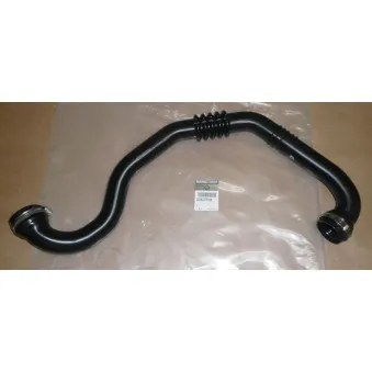 Gaine de suralimentation OE 8200273825