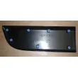 Baguette et bande protectrice, porte avant droit OE 808200149R - Visuel 2