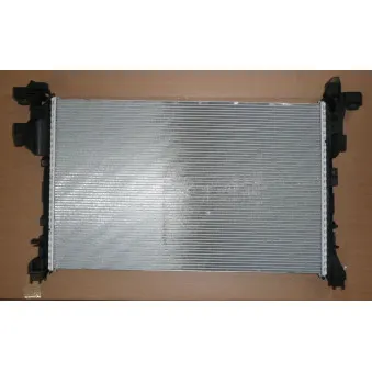 Radiateur, refroidissement du moteur OE 214104966R