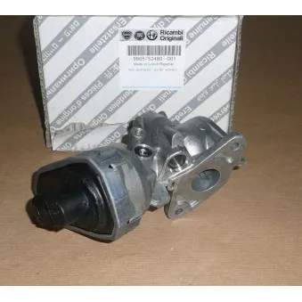 Vanne EGR OE 9665752480