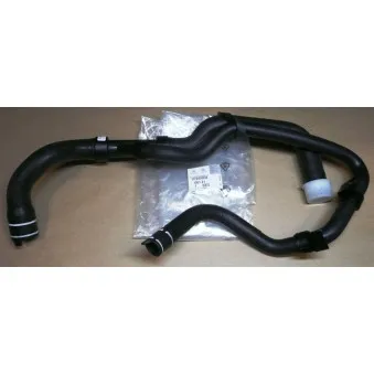 Durite de radiateur OE 1351Z1