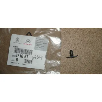 Clip, enjoliveur OE 871067