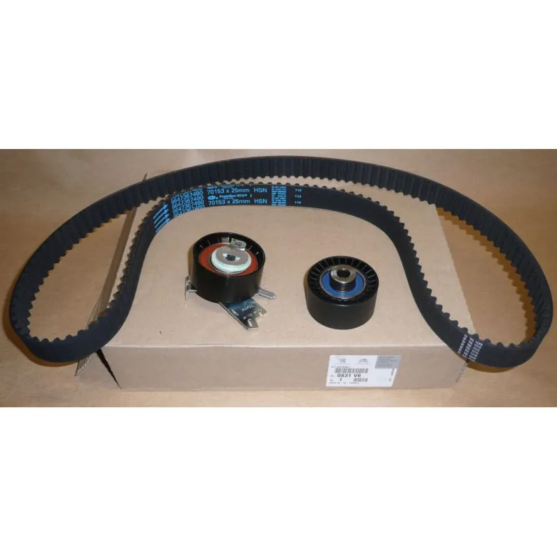 Kit de distribution OE 0831V6
