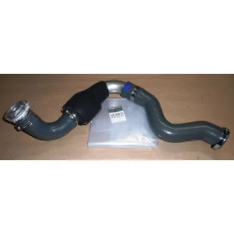 Gaine de suralimentation OE 8200648187
