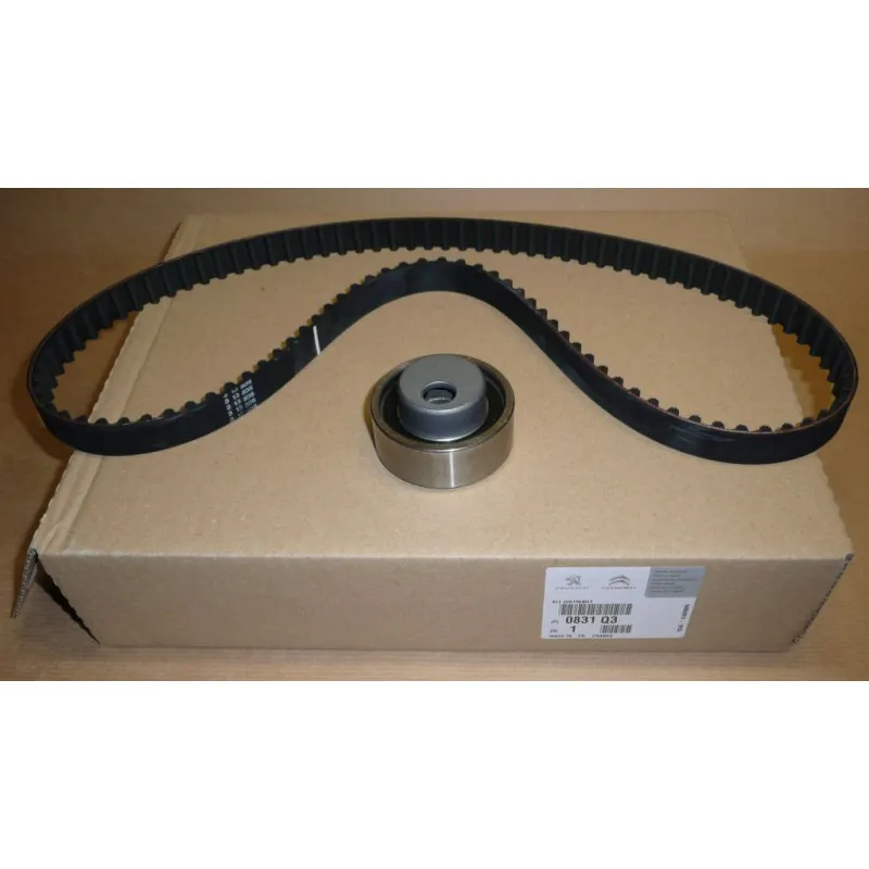 Kit de distribution OE 0831Q3