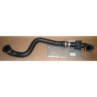 Gaine de suralimentation OE 8200384940