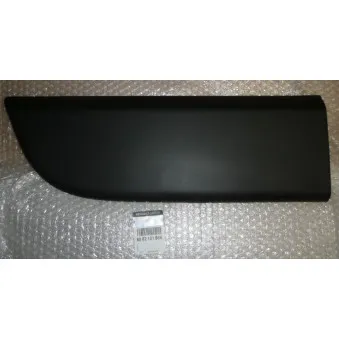 Baguette et bande protectrice, porte avant gauche OE 808210166R