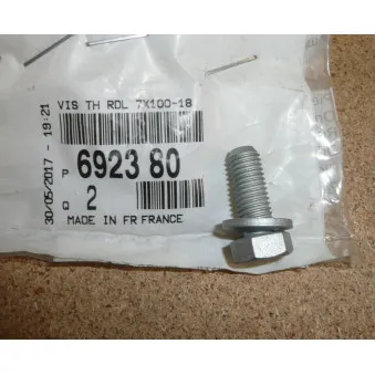 Bouchon fileté pompe à eau OE 692380