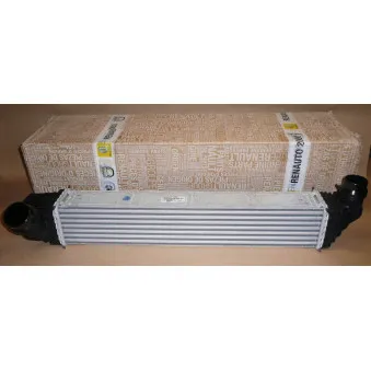 Intercooler, échangeur OE 144963654R
