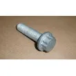 Boulon de poulie OE 123091465R - Visuel 3