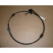 Capteur, vitesse de roue OE 8200212695 - Visuel 2