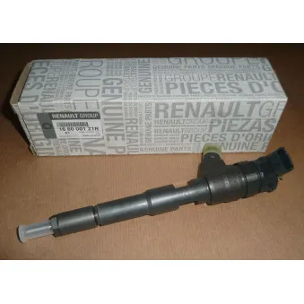 Injecteur OE 166000121R