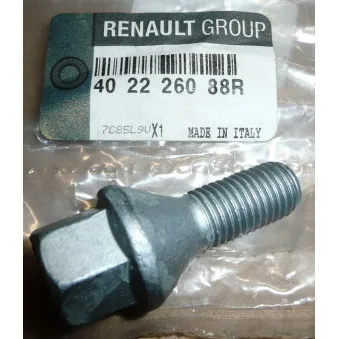 Boulon de roue OE 402226088R