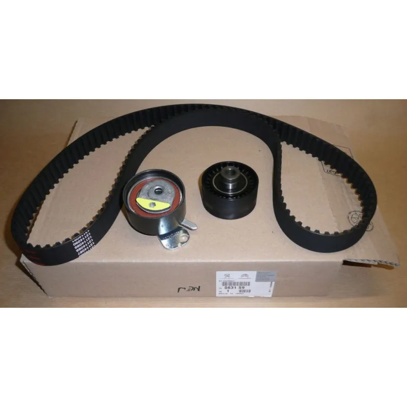 Kit de distribution OE 0831S9