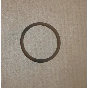 Bague d'étanchéité OE 193319