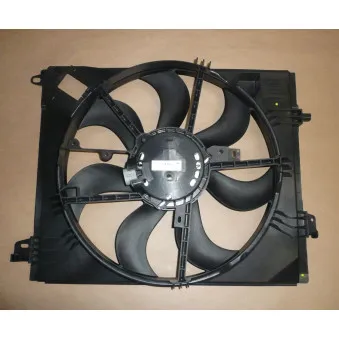 Ventilateur, refroidissement du moteur OE 214819674R