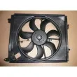 Ventilateur, refroidissement du moteur OE 214819674R - Visuel 2