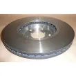 Jeu de 2 disques de frein avant OE 402069828R - Visuel 2