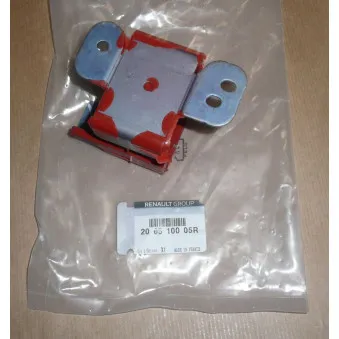 Cache batterie OE 206510005R