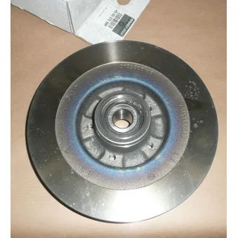 Jeu de 2 disques de frein arrière OE 432027259R