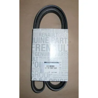 Courroie trapézoïdale à nervures OE 117209058R