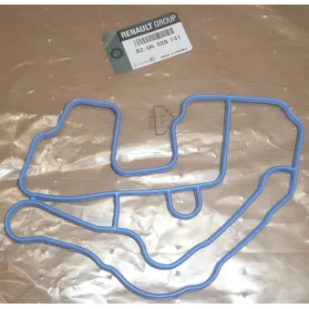 Joint d'étanchéité, boîtier du thermostat OE